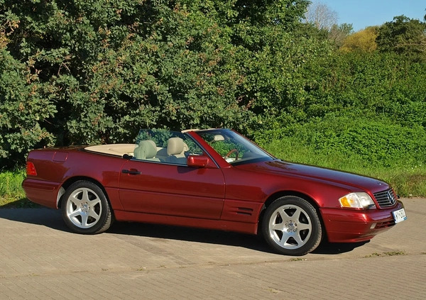 Mercedes-Benz SL cena 80000 przebieg: 115000, rok produkcji 1997 z Warszawa małe 781